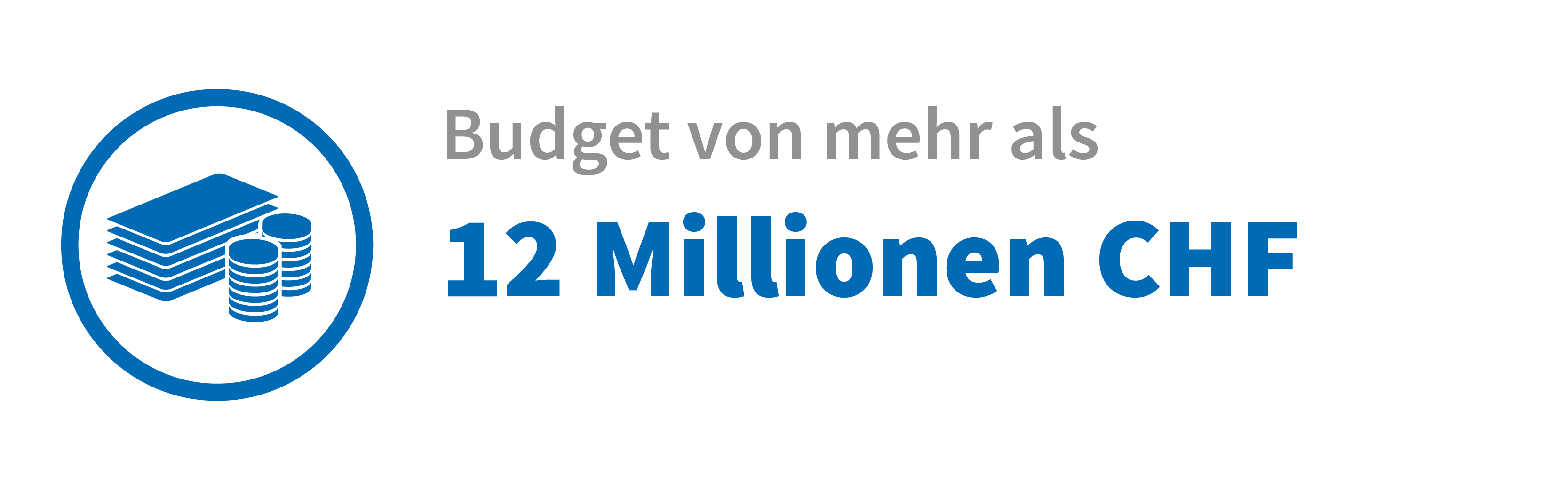 Jahresbericht 2019 | Eckdaten | Finanzierung - Budget